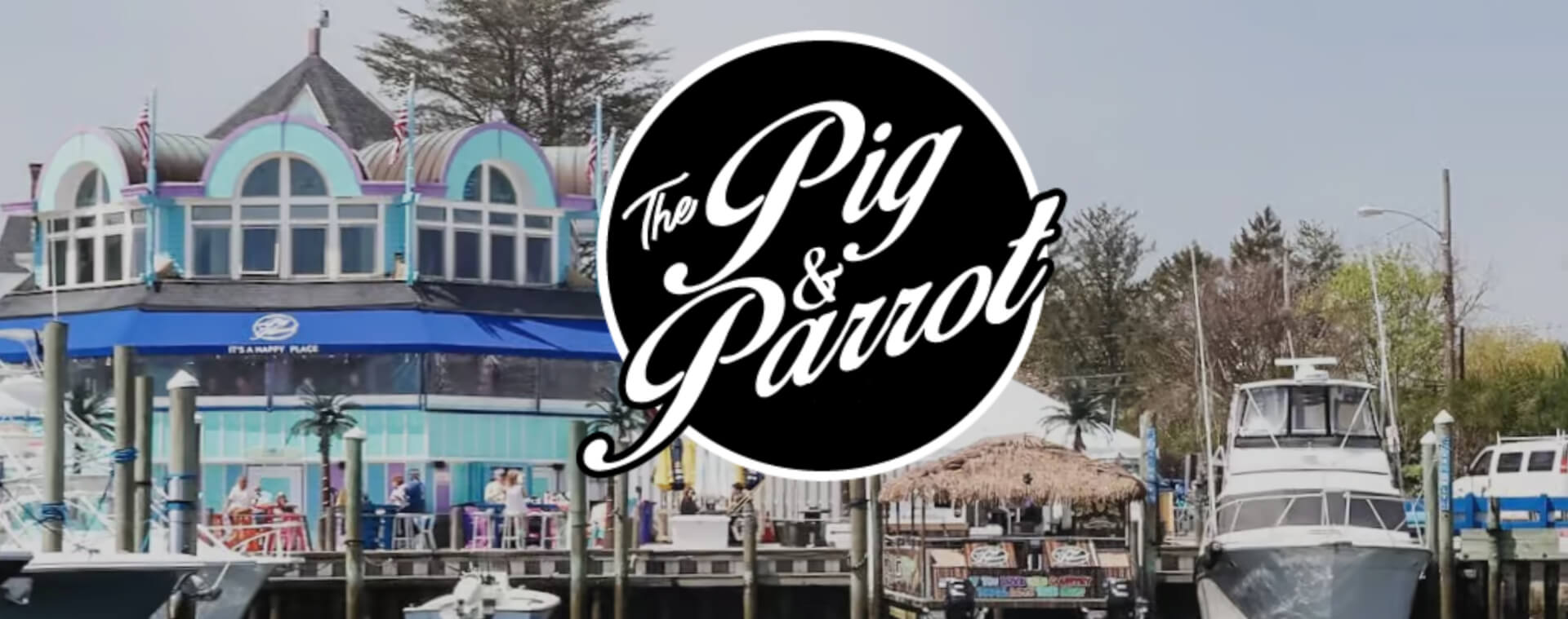 The Pig Parrot - 1on1 Internet Marketing